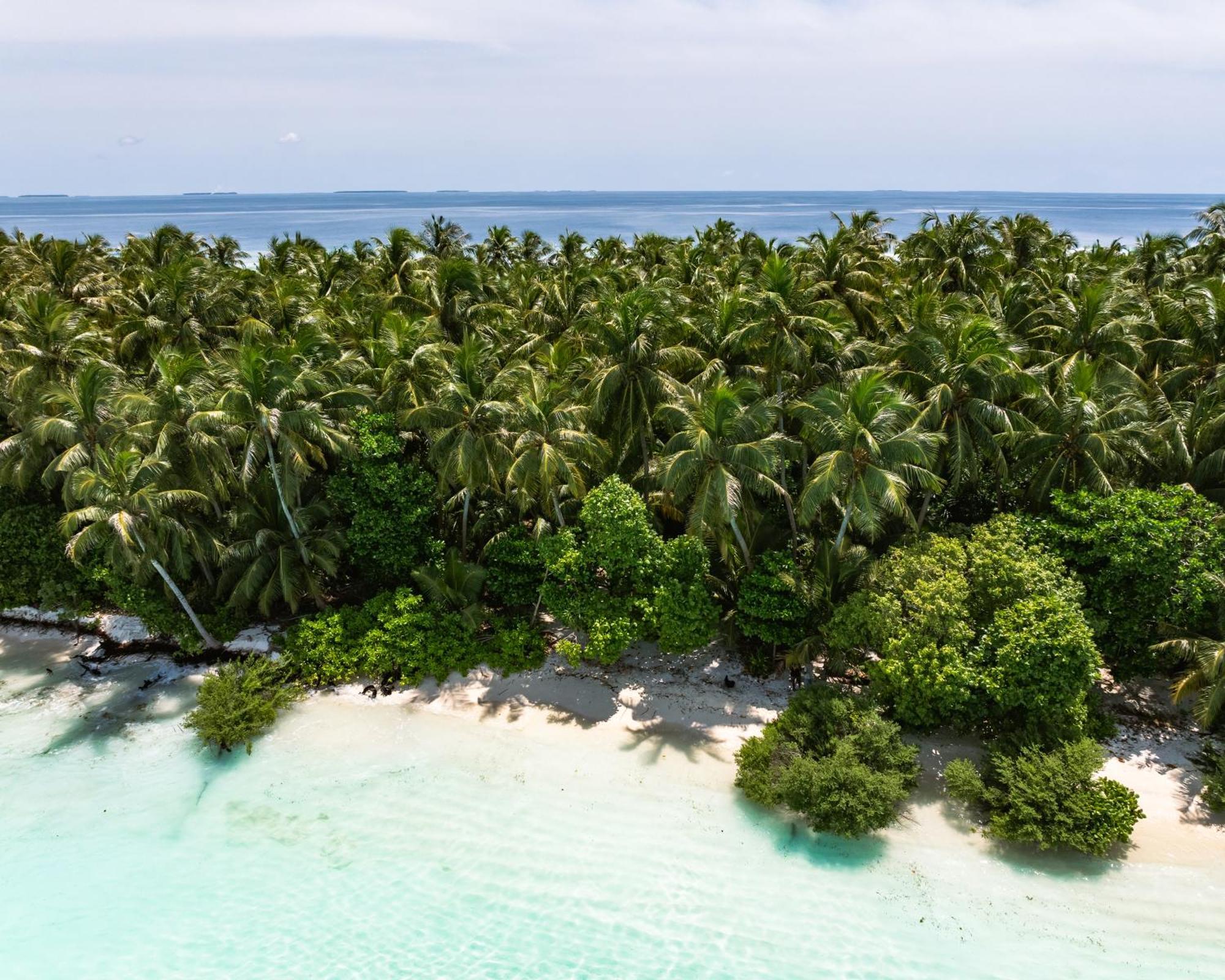 Hotel Isla Retreat à Fehendhoo Extérieur photo